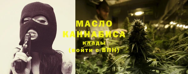 ешки Инта