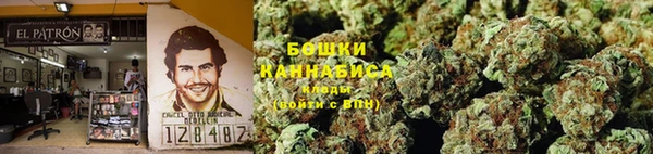 эйфоретик Иннополис