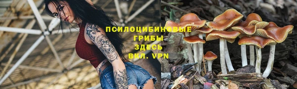 mix Инсар