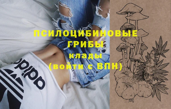 ешки Инта
