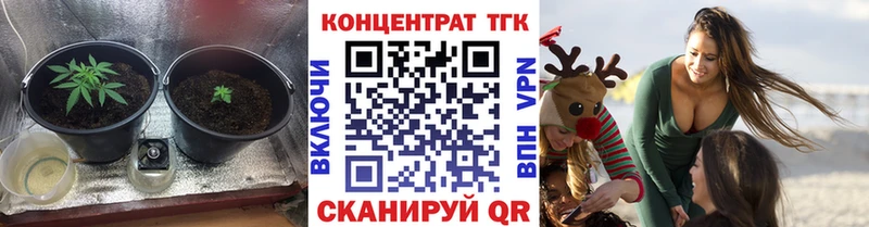 купить наркотики сайты  Кедровый  Дистиллят ТГК концентрат 