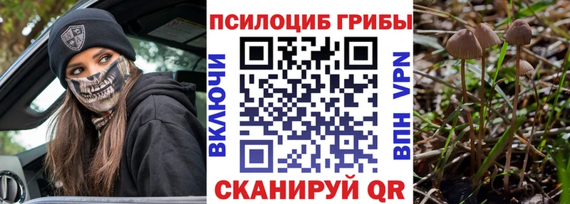 Псилоцибиновые грибы MAGIC MUSHROOMS  Кедровый 